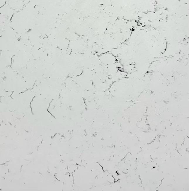 Quartz Slab Limited Selection Premium Non Porous Countertop
